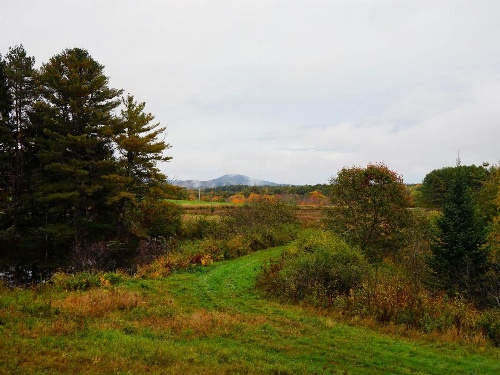 Tentrr - Pond Site Paradise image 1
